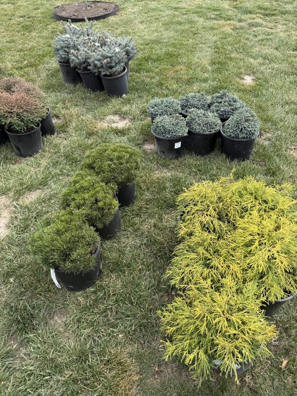 Landscaping 26
