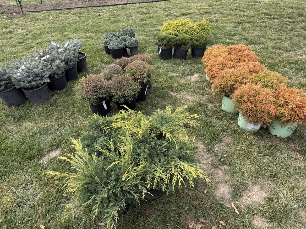Landscaping 29