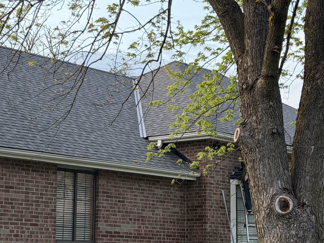 Roofing 109